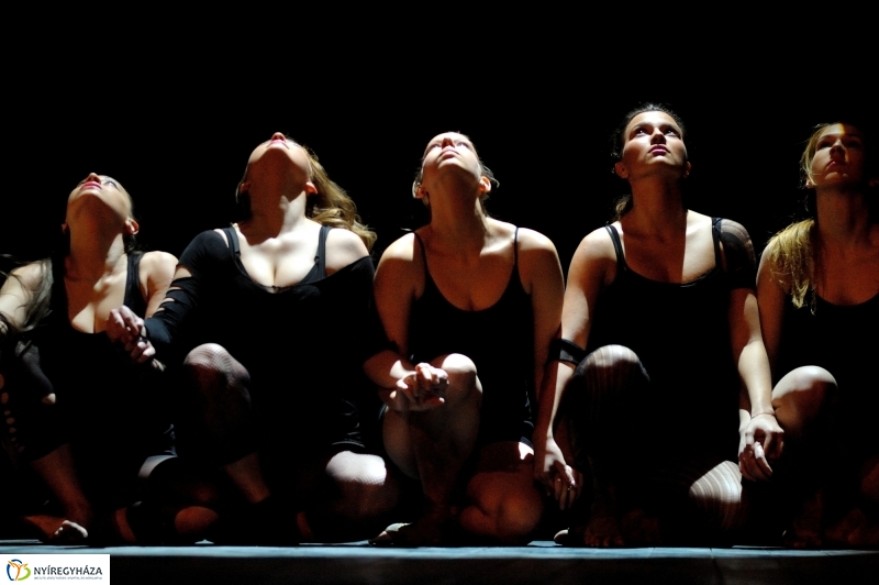 Formák, Hangok, Forgások - gálaműsor