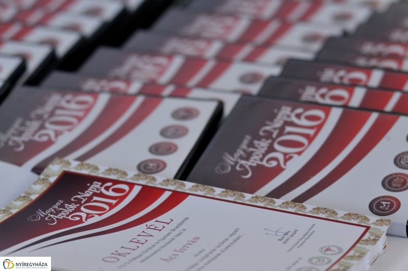 Magyar Ápolók Napja