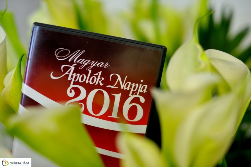 Magyar Ápolók Napja