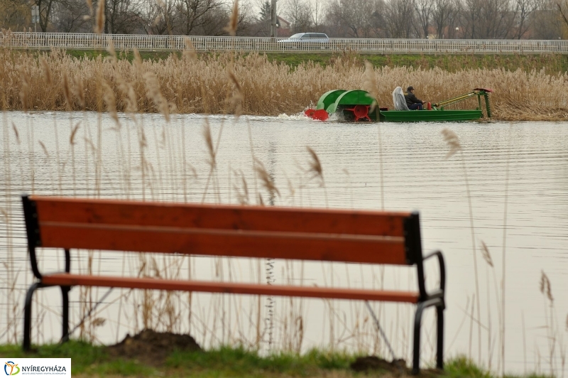 Nádvágás a Bujtoson