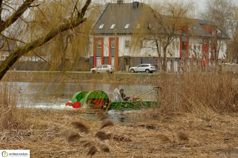 Nádvágás a Bujtoson