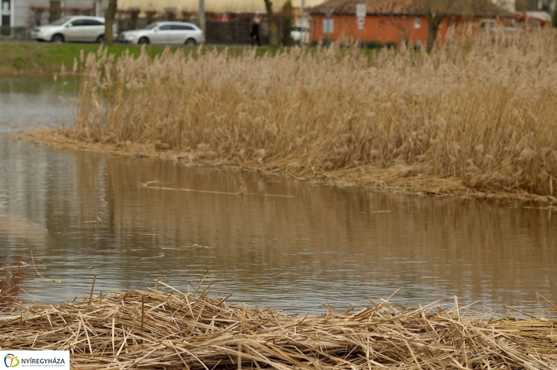 Nádvágás a Bujtoson
