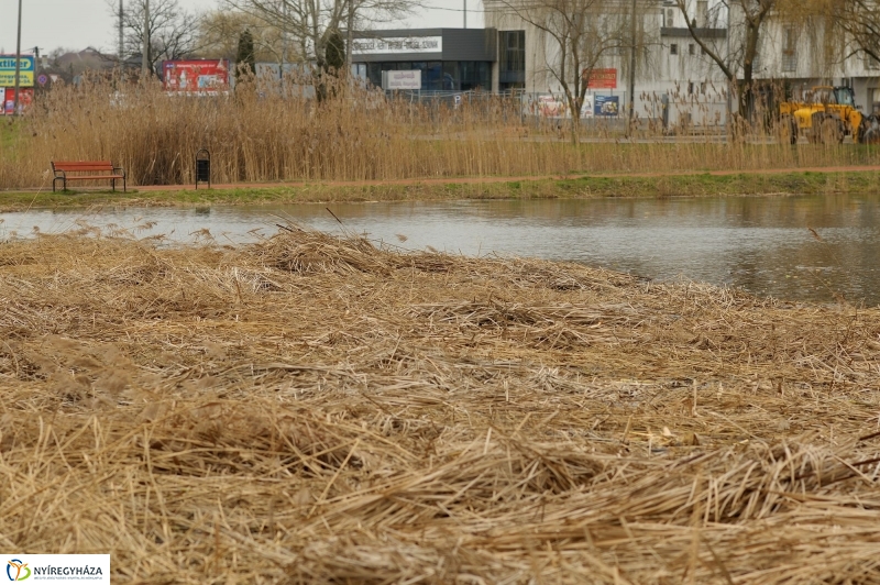 Nádvágás a Bujtoson