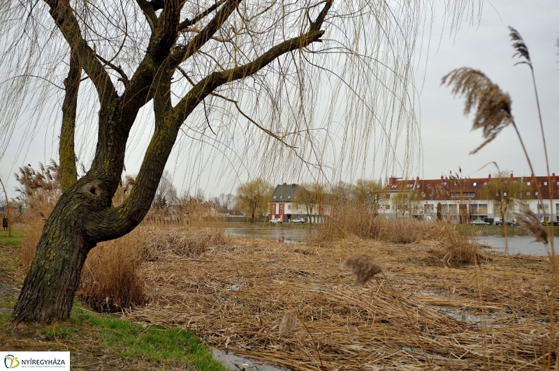 Nádvágás a Bujtoson