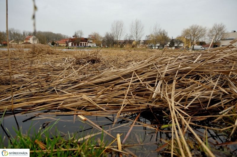 Nádvágás a Bujtoson