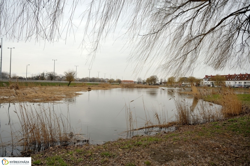 Nádvágás a Bujtoson