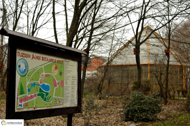 Tavasz első virágai