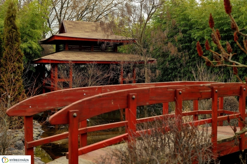 Tavasz első virágai