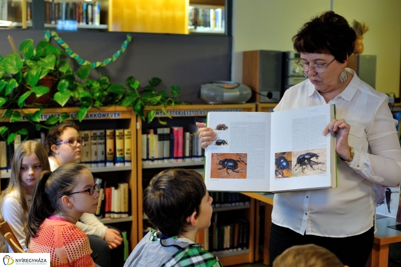 Időjós állatvilág - ismeretterjesztő előadás