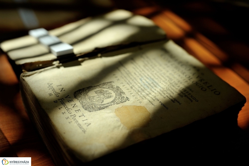 Séta a Kállay Gyűjteményben