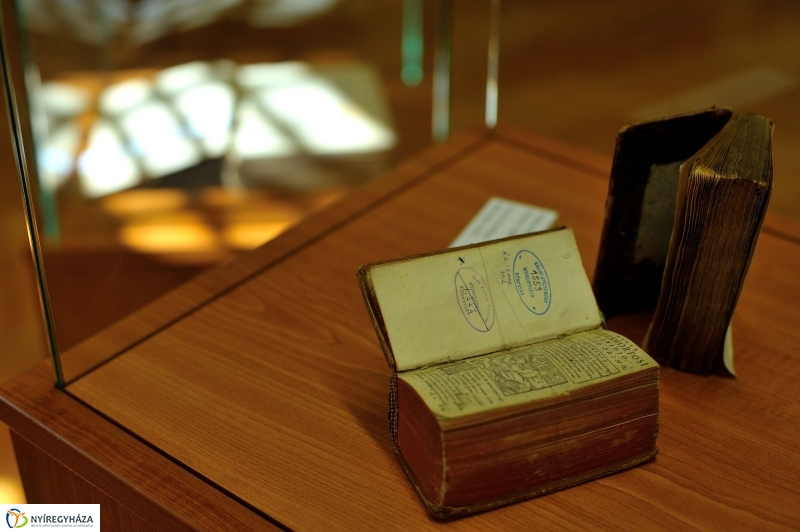 Séta a Kállay Gyűjteményben