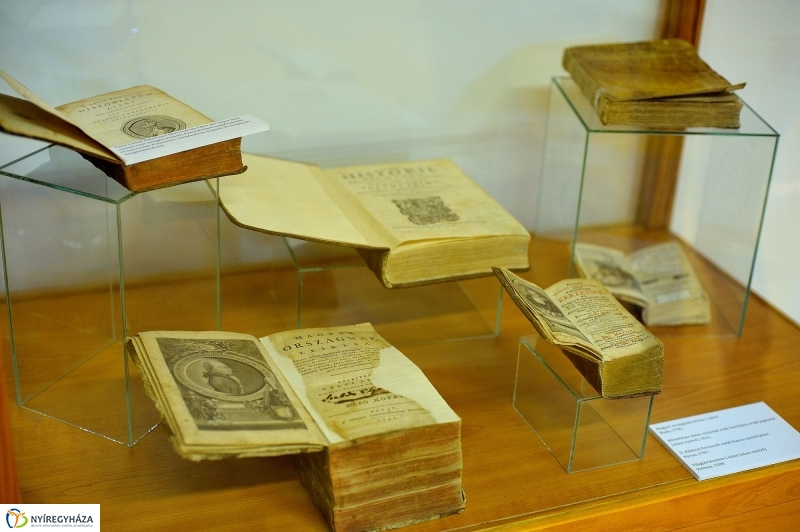 Séta a Kállay Gyűjteményben