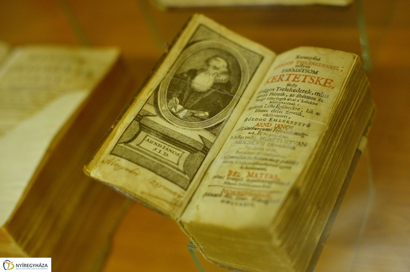 Séta a Kállay Gyűjteményben