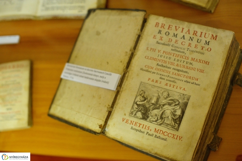 Séta a Kállay Gyűjteményben