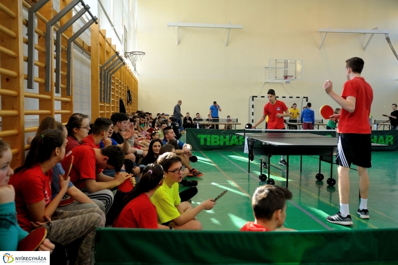 Kollégiumok asztalitenisz versenye
