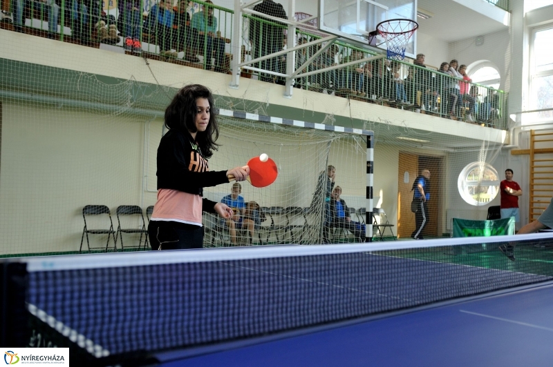 Kollégiumok asztalitenisz versenye