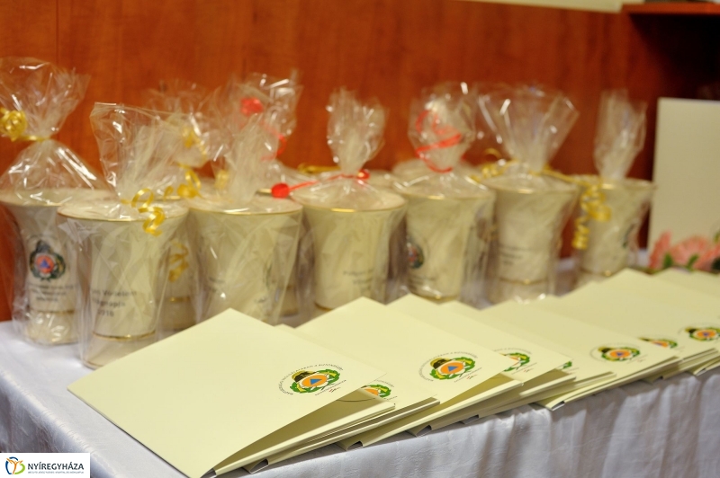 Elismerések a Polgári Védelmi Napon