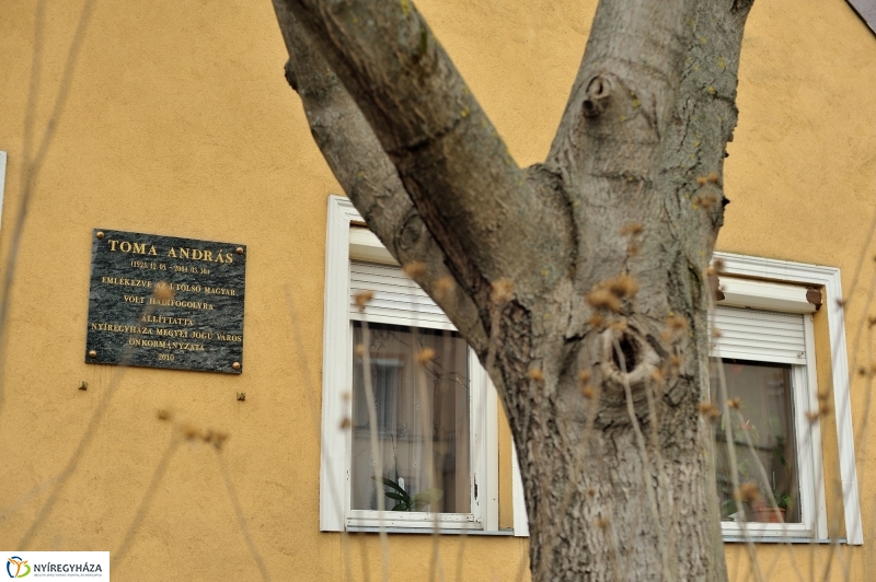 Emlékezés a kommunizmus áldozataira