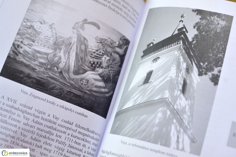 Értékmentő-ben  - műemlékvédelmi írások, tanulmányok