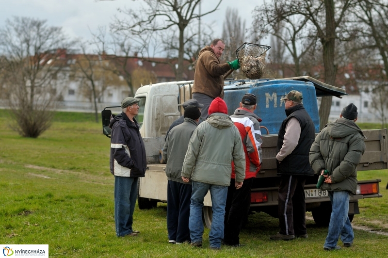 Haltelepítés a Bujtoson