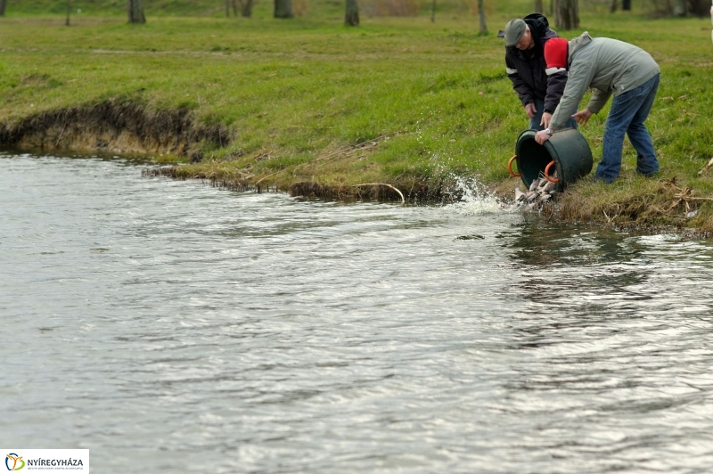 Haltelepítés a Bujtoson