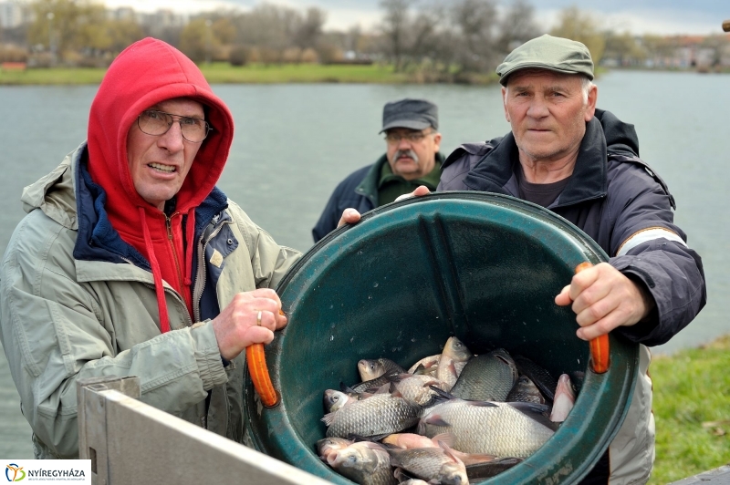 Haltelepítés a Bujtoson