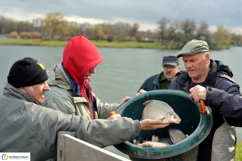 Haltelepítés a Bujtoson