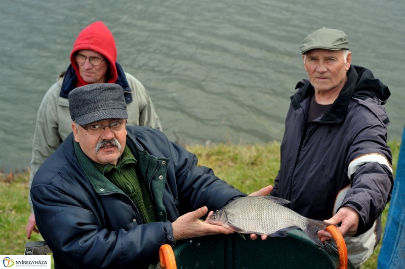 Haltelepítés a Bujtoson