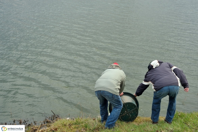 Haltelepítés a Bujtoson