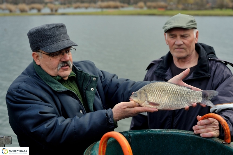 Haltelepítés a Bujtoson