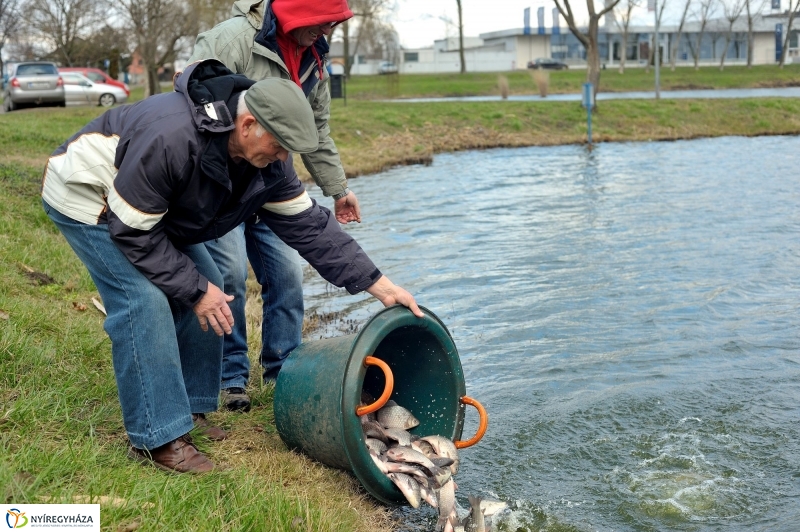 Haltelepítés a Bujtoson
