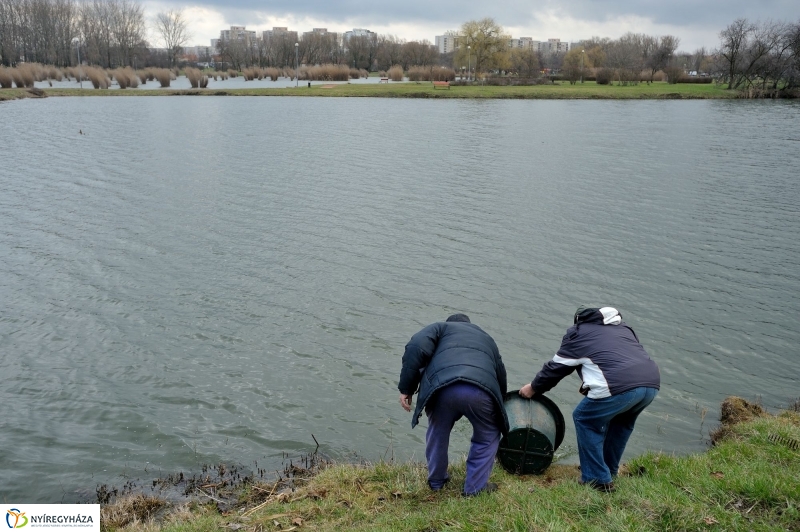Haltelepítés a Bujtoson