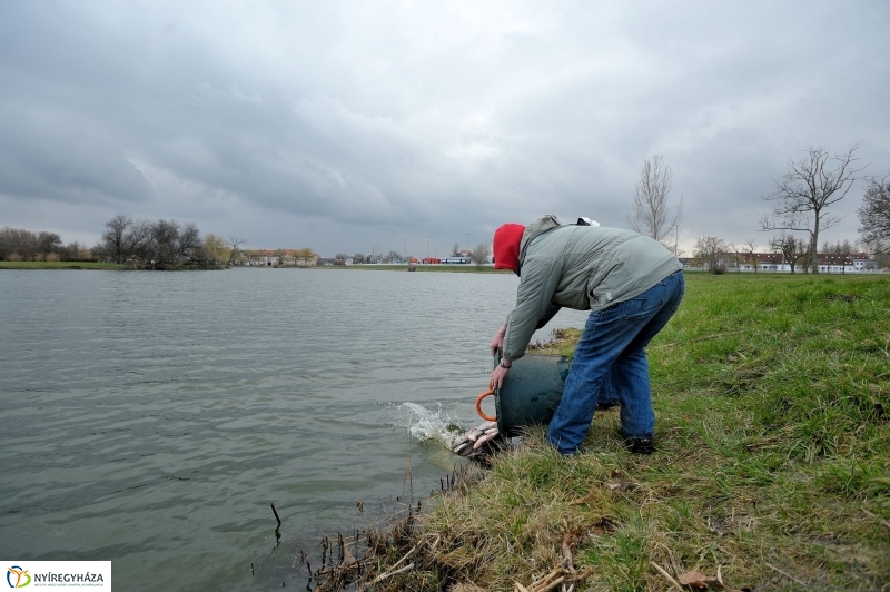 Haltelepítés a Bujtoson