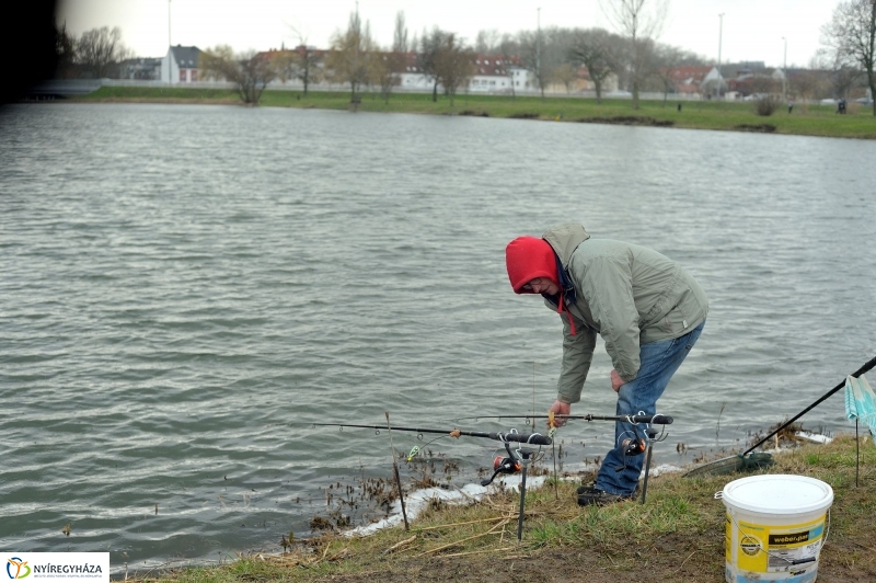 Haltelepítés a Bujtoson