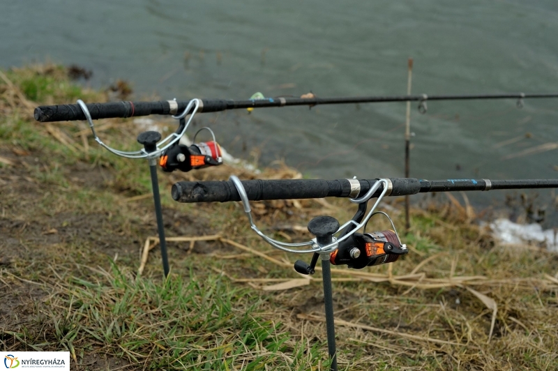 Haltelepítés a Bujtoson