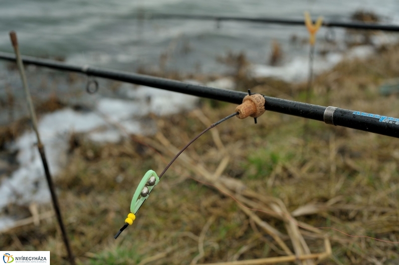 Haltelepítés a Bujtoson