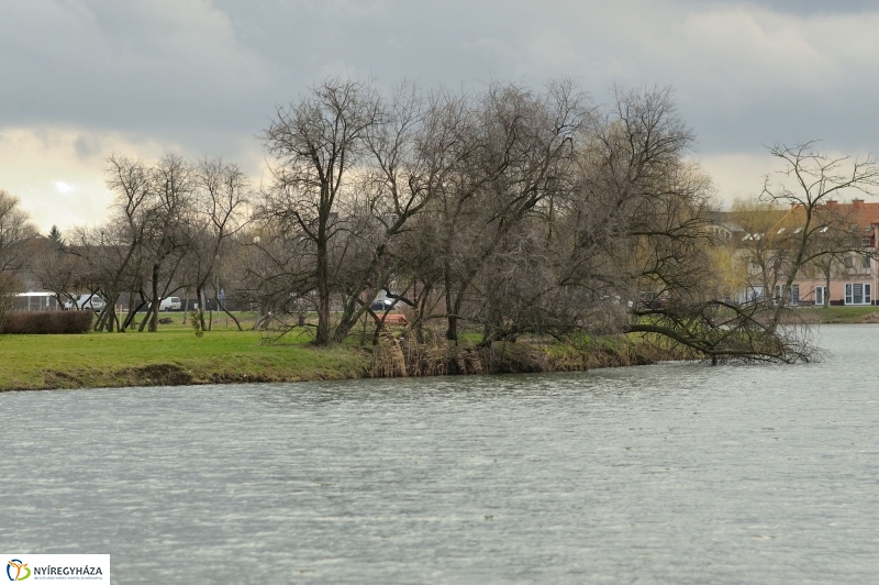 Haltelepítés a Bujtoson