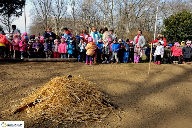 Telet temettek az ovisok
