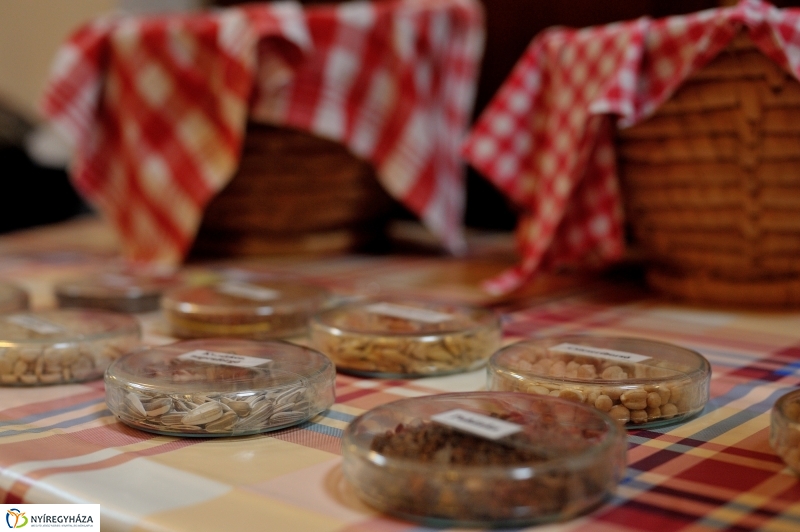 Magbörze a Múzeumfaluban