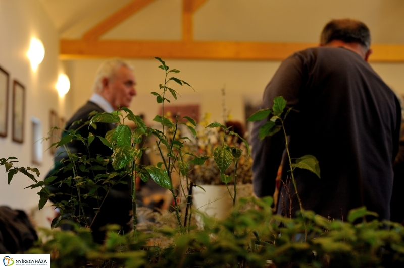 Magbörze a Múzeumfaluban