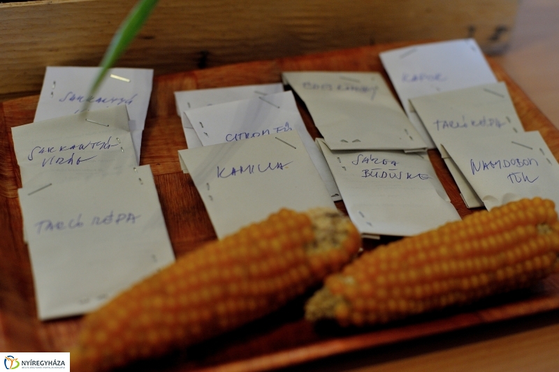 Magbörze a Múzeumfaluban