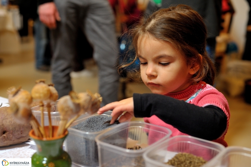 Magbörze a Múzeumfaluban