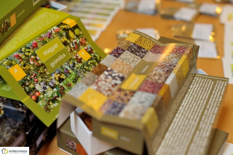 Magbörze a Múzeumfaluban