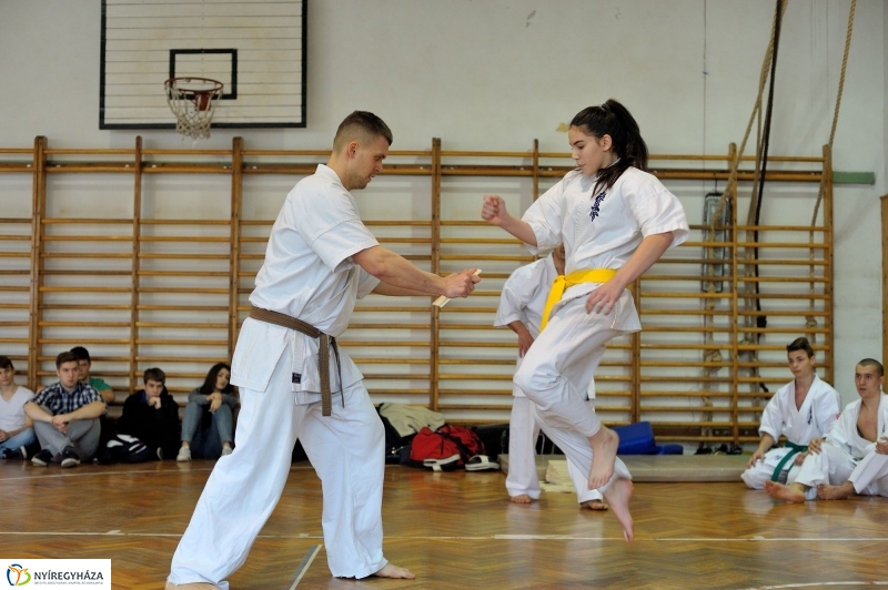 Japán nap a Krúdy Gyula Gimnáziumban