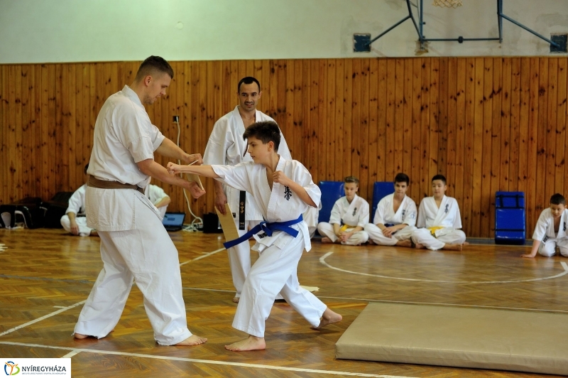 Japán nap a Krúdy Gyula Gimnáziumban