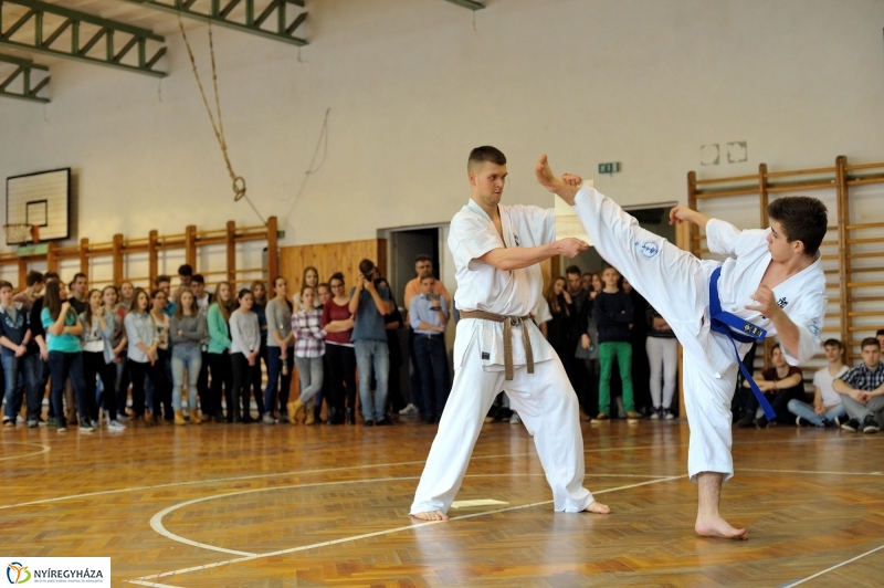 Japán nap a Krúdy Gyula Gimnáziumban