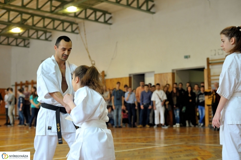 Japán nap a Krúdy Gyula Gimnáziumban