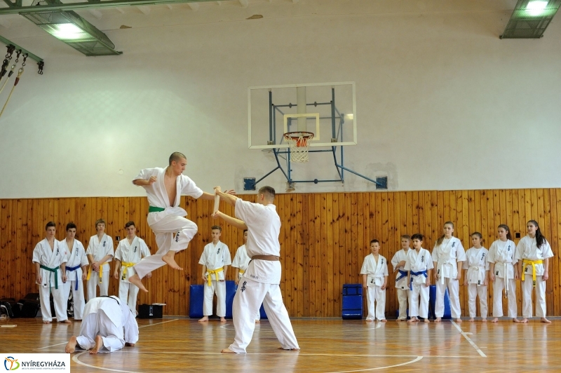 Japán nap a Krúdy Gyula Gimnáziumban