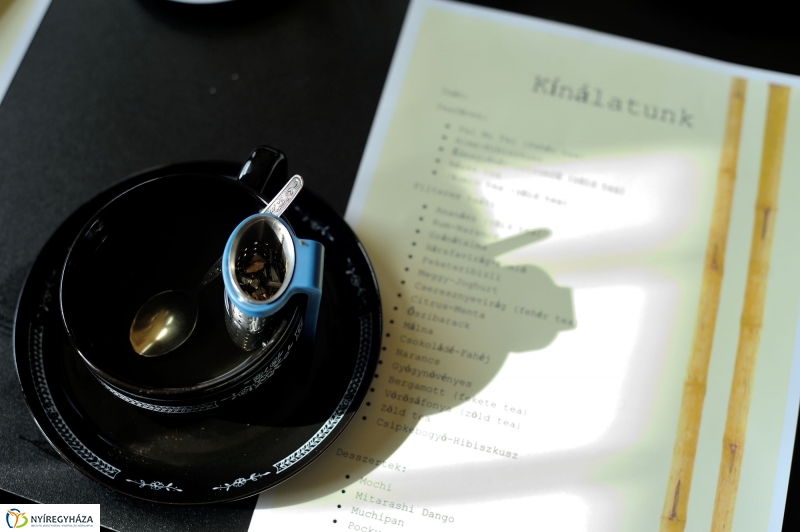 Japán nap a Krúdy Gyula Gimnáziumban