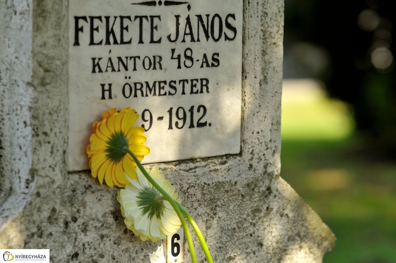 Virágok a hősök sírján